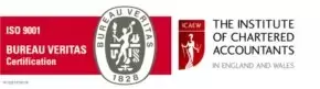the institute of chartered accountants
