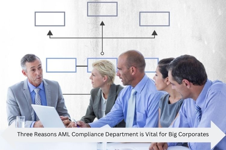 Three Reasons AML Compliance Department is Vital for Big Corporates